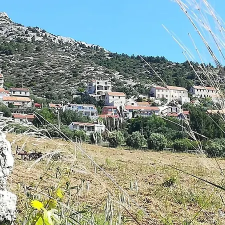 Stjepan Vikendica *