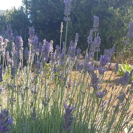 بيت للعطل Stjepan Exclusive زافالا