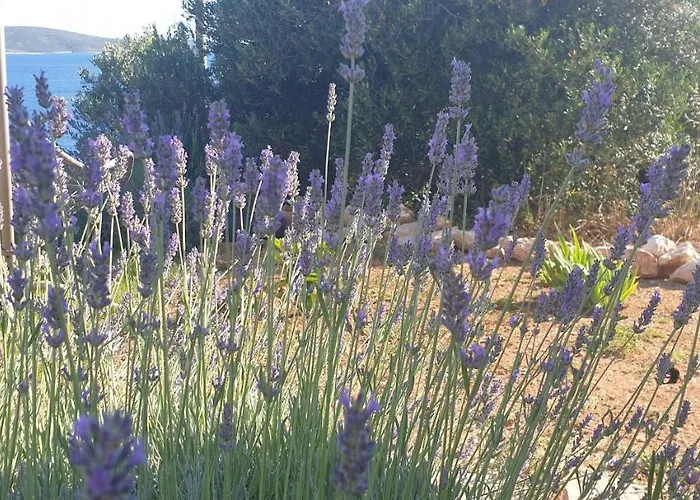 Tatil Evi Stjepan Exclusive Zavala